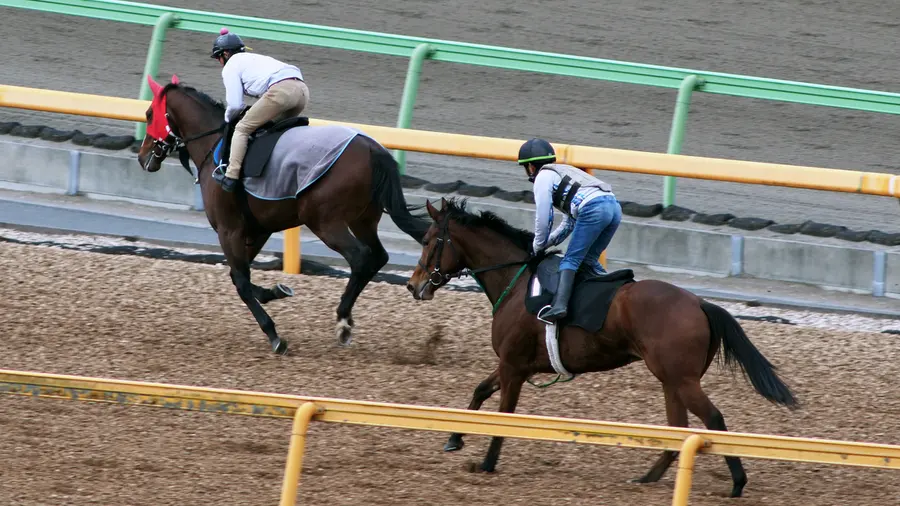 競馬調教タイム計測システム
